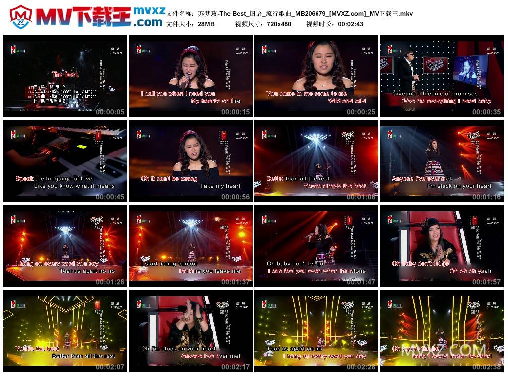 苏梦玫-The Best_国语_流行歌曲_MB206679